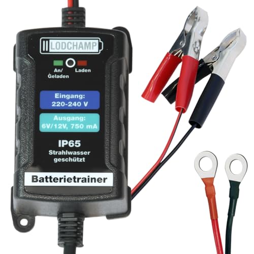 LODCHAMP Cargador de mantenimiento 146303 Battery Trainer, 6 V/12 V-750 mAh, IP65, cargador de batería para coche, moto, cuatriciclo, barco, cuatriciclo, barco, plateado