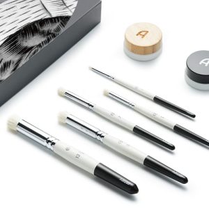 ARTIFY – Pinceles secos profesionales para miniaturas y modelos, 5 tamaños, pintura para decoración de mesa y juegos de guerra, multicolor