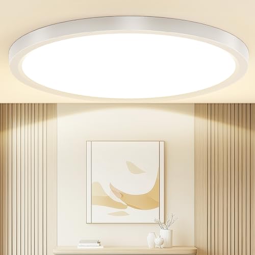 Taipow 18W 2448LM Lamparas de Techo Modernas, 4000K Plafon led Techo Redondo Plana, IP44 Delgada Lampara para Pasillo Balcón Cuarto de Baño Dormitorio Sótano, Ø22CM