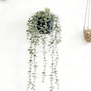 Mr. Bom – Plantas colgantes artificiales de eucalipto con maceta y gancho para decoración del hogar, interiores y exteriores