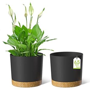 ZMTECH Maceta De 16,5 cm, Maceta De Plástico con Agujeros De Drenaje para Plantas Suculentas, Hierbas, Orquídeas, Menta y Otras Plantas De Jardín (Verde, Set De 2)
