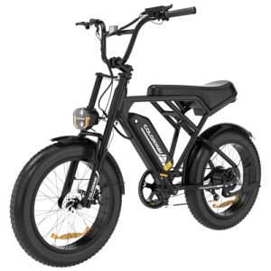 OPORTUNIDAD: COLORWAY Bicicleta Eléctrica 20″ Fat Tire 250W BK29G, EBike con Batería 36V 12Ah Extraíble, Bicicleta Todo Terreno para Adultos, Pantalla LCD, Frenos de Disco, Carga 120kg,BK29G con oferta