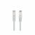 Cable de Red Rígido UTP Categoría 6 Lanberg PCU6-10CU-0200-S 2 m