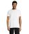 Pack de 10 Camisetas de Manga Corta para Hombre, 100% Algodón, Beagle (L)