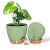 ZMTECH Vaso per Piante da 25 cm con Presa D’acqua Fioriere Autoinnaffianti con Fori Di Drenaggio e Sottovaso in Plastica per Piante da Interno e Da Esterno (Verde, Confezione da 2)