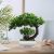 AIZHAZHA Bonsai Artificial Realista, 25×22 cm Arbol Artificial Interior, Arboles Artificiales, Falsas Pequeña Planta en Maceta, Plantas Artificiales Decorativas, para Oficina, Decoración del Hogar