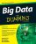 Big Data For Dummies